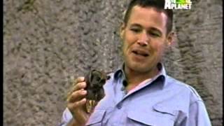 Jeff Corwin [upl. by Stent]