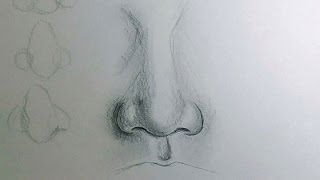 How to Draw a Nose [upl. by Corbet]