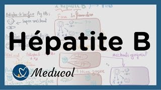 Hépatite B transmission symptômes et interpréter la sérologie hepatite B [upl. by Farro]