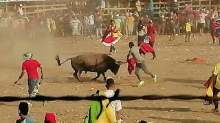 Corralejas en Valencia tradiciones de los pueblos [upl. by Nicolai]