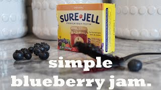 Making Jam with Sure Jell First Time Making Blueberry Jam [upl. by Nylle542]