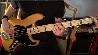 quotRapp Snitch Knishesquot by MF DOOM  Bass Guitar Tutorial [upl. by Tolliver267]