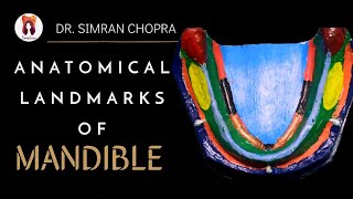 Anatomical Landmarks Of Mandible l Mandibular Landmarks l Prosthodontics [upl. by Romona]