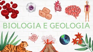 15 Geologia 11º ano  Formação de Rochas Sedimentares 🌎 [upl. by Hallagan]