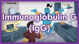 Immunoglobulin G IgG USMLE Mnemonic [upl. by Ahtebbat771]