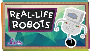 RealLife Robots [upl. by Maurita996]