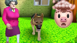 MISS T GOT A DOG  Scary Teacher 3D Gameplay Walkthrough [upl. by Stacia734]