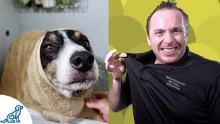 Simple Hacks To Bath Your Dog  Professional Dog Training Tips [upl. by Gunter405]