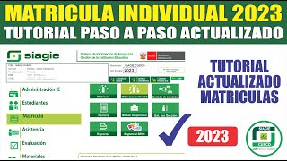 Siagie  Matricula INDIVIDUAL 2023  Tutorial COMO MATRICULAR ALUMNOS NUEVOS Y ANTIGUOS [upl. by Tore]