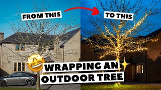 How do I install string lights on an outdoor tree for Christmas [upl. by Ahiel]