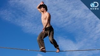 How To Tightrope Walk [upl. by Avruch]