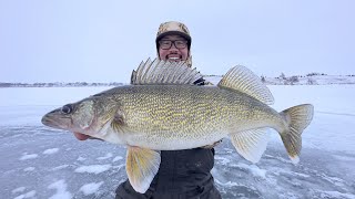 FIRST ICE Walleye Fishing THIN ICE [upl. by Yelnats]