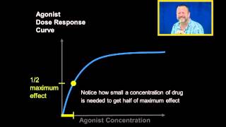 Agonist Dose Response Curves [upl. by Atirahs]