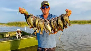 Monster Lake Okeechobee Bluegills Catch Clean Cook BlueGabe episode 1 [upl. by Alliuqet673]