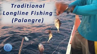 Longline Fishing in the Philippine Province of Mindanao [upl. by Mcintyre]