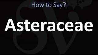 How to Pronounce Asteraceae CORRECTLY [upl. by Brodsky]