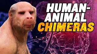 Human Animal Chimeras US Senate OPPOSES Ban [upl. by Memory]