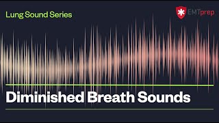 Diminished Breath Sounds  EMTprepcom [upl. by Flanagan]