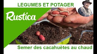 Semer et cultiver des cacahuètes [upl. by Ayalat]