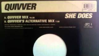 QUIVVER SHE DOES Quivver Mix [upl. by Anaujnas]