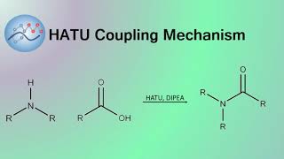 HATU DIPEA Peptide Coupling Mechanism  Organic Chemistry [upl. by Moulton]