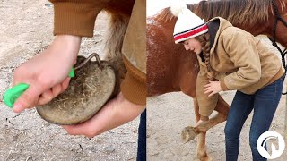 How To Clean A Horses Hooves The Easy Way [upl. by Adnarem]