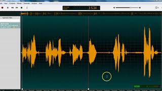 Ocenaudio Tutorial 1 Introduction to Basic Features [upl. by Anigriv]