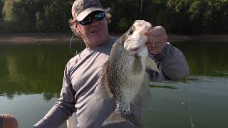 Arkansas Wildlife  S5E5 Fall Fishing on the Little Missouri River [upl. by Annoyk]