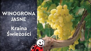 Winogrona Jasne  Biedronka  Kraina Świeżości [upl. by Ynnej]