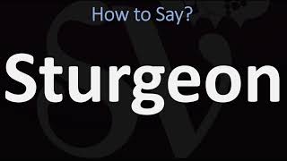 How to Pronounce Sturgeon CORRECTLY [upl. by Enyalahs186]