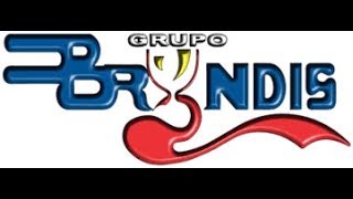 Popurri Mix Grupo Bryndis Dj Alex Love [upl. by Reifel893]