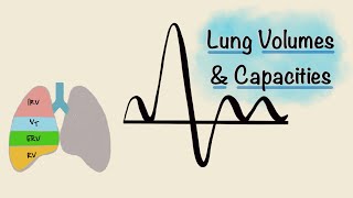 Lung Volumes and Capacities  Spirogram  Spirometry  Respiratory Physiology [upl. by Estrin]