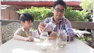 Water Bleach and Povidone Iodine Experiment [upl. by Leciram508]