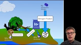 Biogeochemical Cycles [upl. by Taveda]