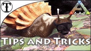 Fast Achatina Snail Taming Guide  Ark  Survival Evolved Tips and Tricks [upl. by Ferdie]