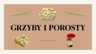 9 Grzyby i porosty  budowa cykle rozwojowe  matura z biologii đźŤ„ darmowe korepetycje đź’° liceum [upl. by Attiuqihc795]