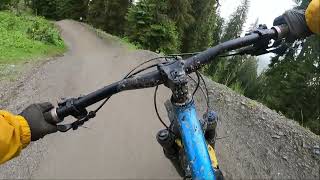 Flow Link  Bike Park Leogang  2024 [upl. by James818]