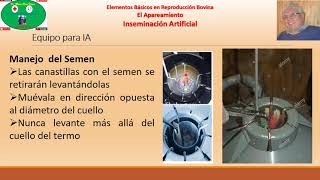 Inseminación Artificial en Bovinos Parte 2 Equipo [upl. by Pomfret]