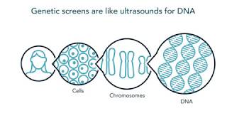 Genetic Screening Overview Patient Education Animation [upl. by Hallee]