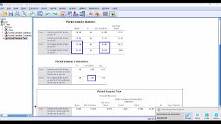 PairedSample ttest 2 Effect size [upl. by Chung]