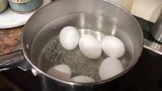 How to Cook Perfect Hard Boiled Eggs [upl. by Llener203]