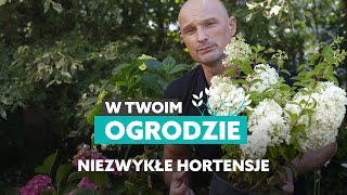 Niezwykłe hortensje – odmiany i pielęgnacja W Twoim ogrodzie [upl. by Hanimay367]