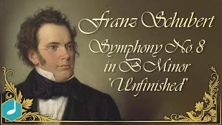 Schubert Live Performance [upl. by Ahsinav991]