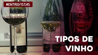 Aprenda a diferenciar tipos de vinho [upl. by Auqinihs]