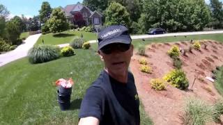 How To Landscape a Steep Slope For Beauty and Low Maintenance [upl. by Avad751]