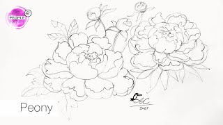 Easy Way To Draw Peony For Beginners  STEP BY STEP Drawing Tutorial [upl. by Klockau]