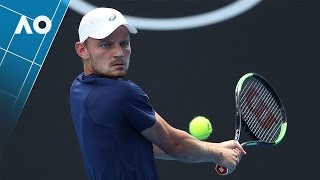 Opelka v Goffin match highlights 1R  Australian Open 2017 [upl. by Solrac513]