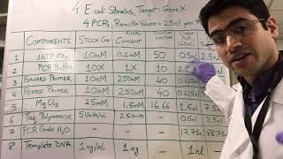 How To PCR Calculations [upl. by Arrik]