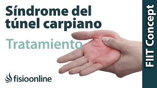 Síndrome do Túnel do Carpo O QUE É CAUSAS SINTOMAS TRATAMENTO Clínica Fisioterapia Dr Robson Sitta [upl. by Maridel]