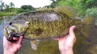 Wade Fishing River Smallies [upl. by Ylatfen723]